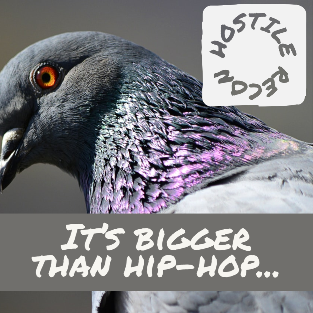 Close-up of pigeon looking over its shoulder. Hostile Recon logo and it's bigger than hip-hop...